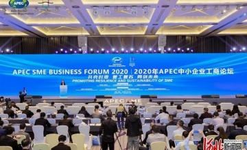 思创策划咨询受邀参加2020年APEC中小企业工商论坛