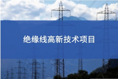 绝缘线高新技术项目