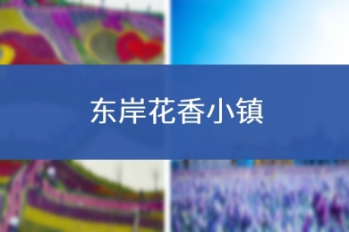 东岸花香小镇